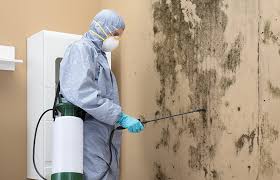 Best Crawl Space Mold Remediation  in River Ridge, LA